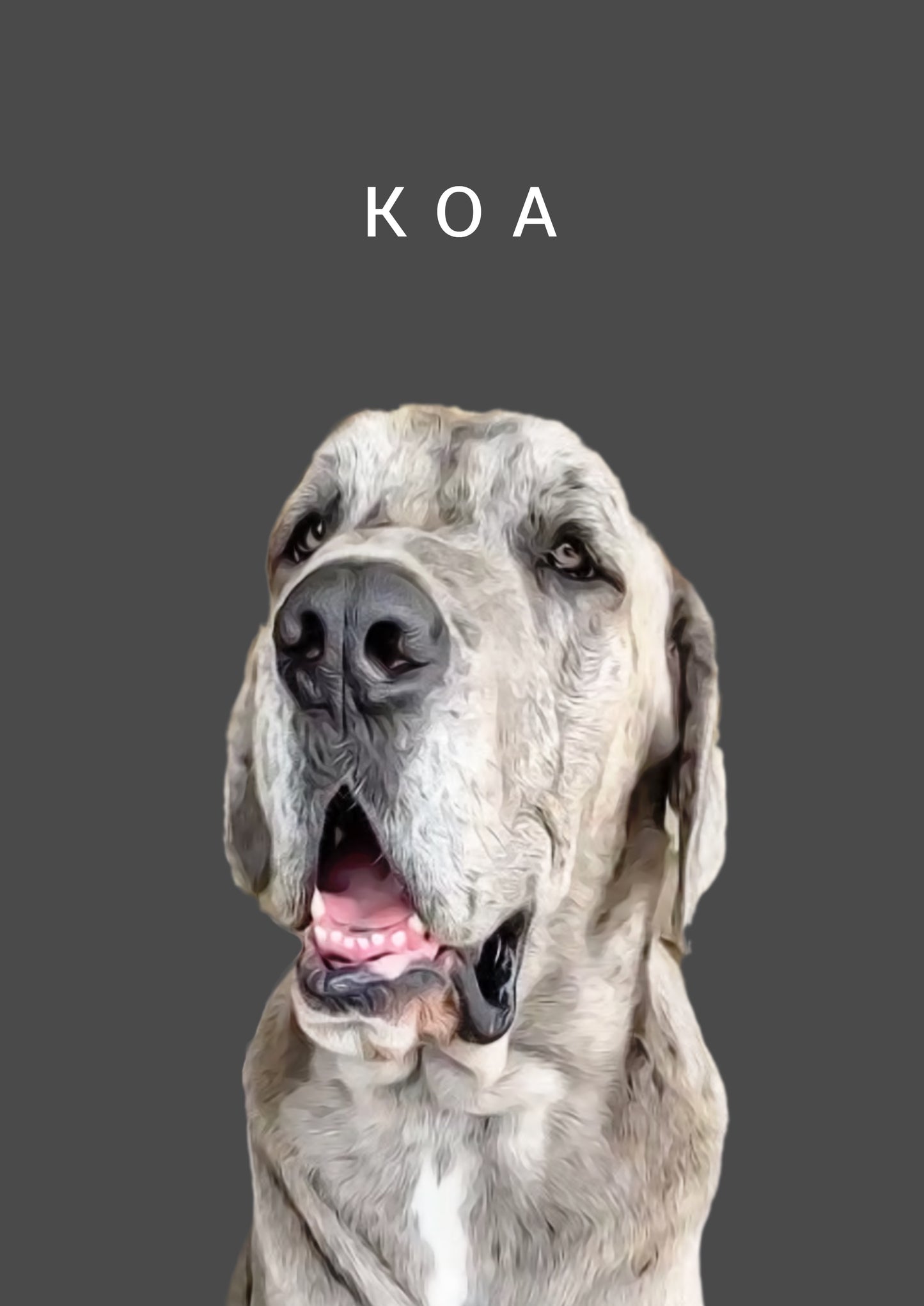 The OG Pooch Portrait
